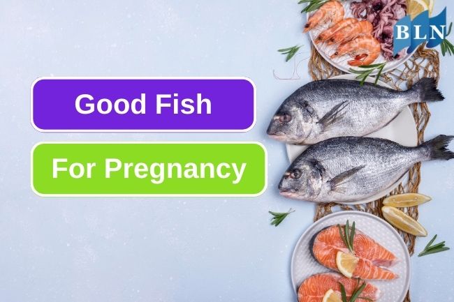5 Choice Of Good Fish For Pregnant Women